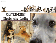 Tablet Screenshot of polytechnichien.com